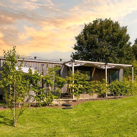 The Hive - Unique Hot Tub Cabin In Millport Exterior photo